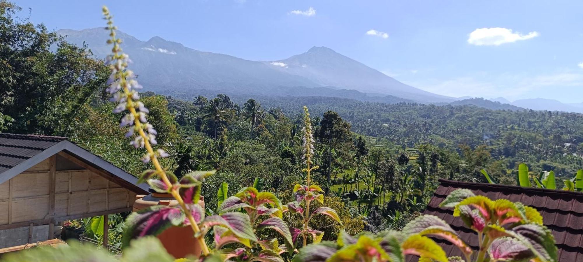 Tetebatu Terrace Homestay Extérieur photo