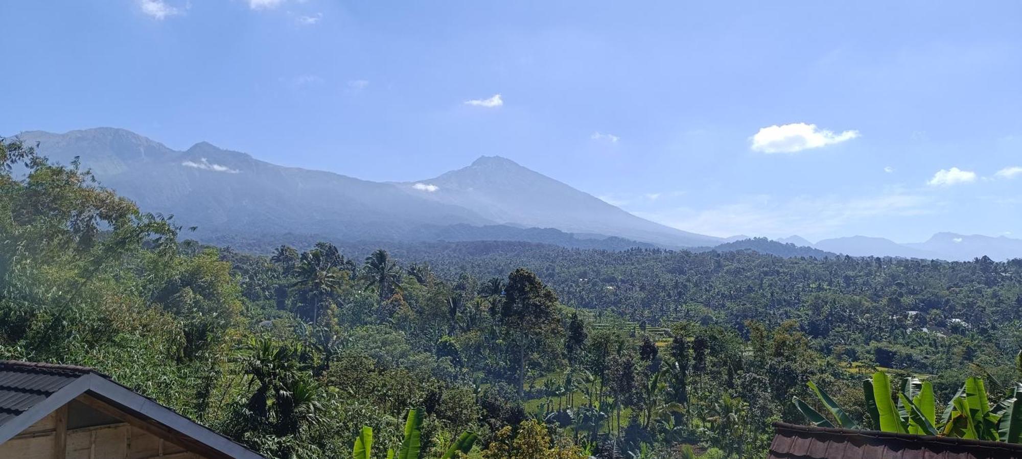 Tetebatu Terrace Homestay Extérieur photo