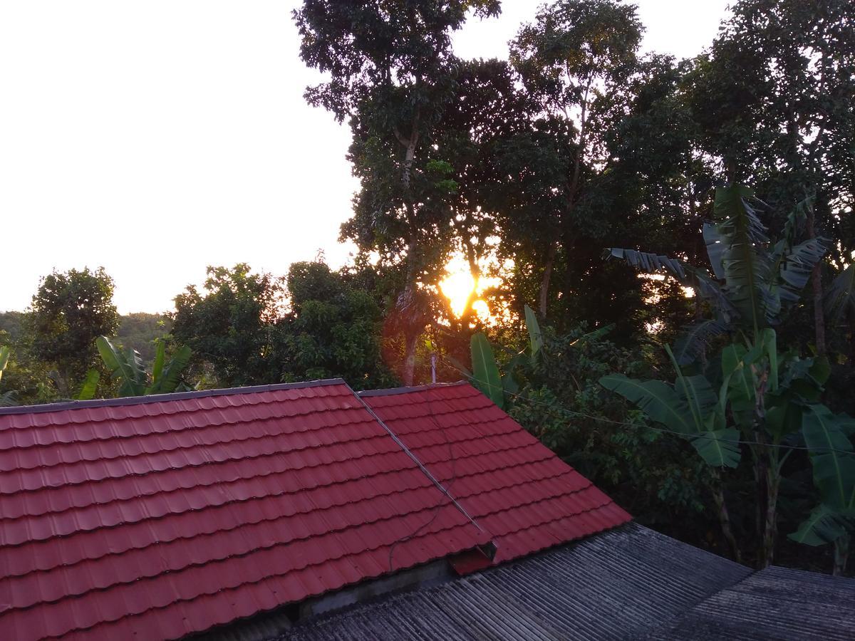 Tetebatu Terrace Homestay Extérieur photo
